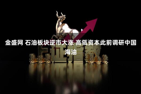 金盛网 石油板块逆市大涨 高瓴资本此前调研中国海油