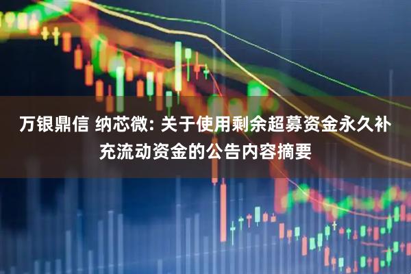 万银鼎信 纳芯微: 关于使用剩余超募资金永久补充流动资金的公告内容摘要