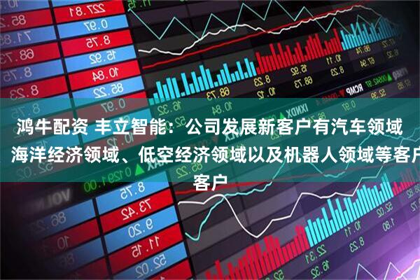 鸿牛配资 丰立智能：公司发展新客户有汽车领域、海洋经济领域、低空经济领域以及机器人领域等客户