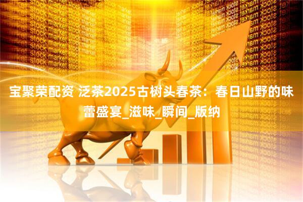 宝聚荣配资 泛茶2025古树头春茶：春日山野的味蕾盛宴_滋味_瞬间_版纳