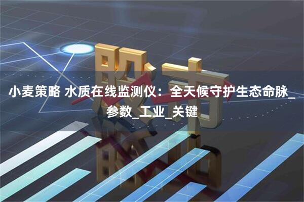 小麦策略 水质在线监测仪：全天候守护生态命脉_参数_工业_关键