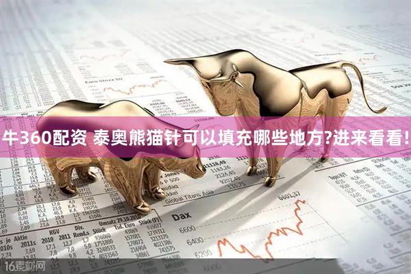 牛360配资 泰奥熊猫针可以填充哪些地方?进来看看!