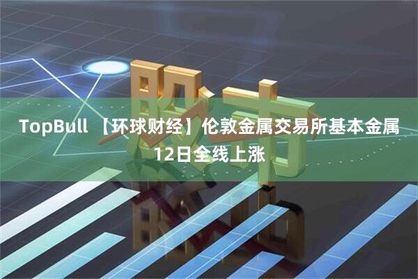 TopBull 【环球财经】伦敦金属交易所基本金属12日全线上涨