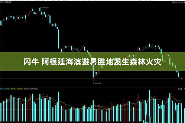 闪牛 阿根廷海滨避暑胜地发生森林火灾