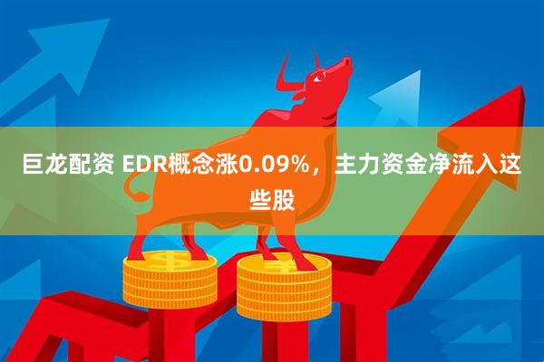巨龙配资 EDR概念涨0.09%,主力资金净流入这些股